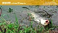 野钓走水严重能钓吗?
