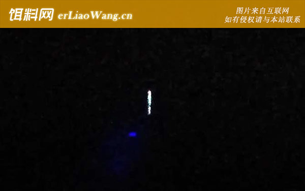夜钓大鱼晚上几点开口-秋季