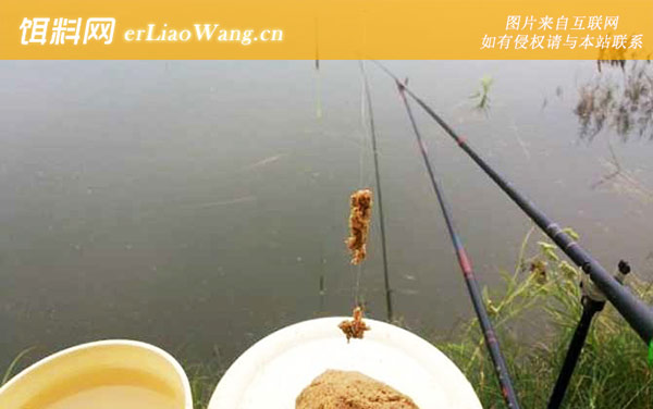 钓鱼:饵料类