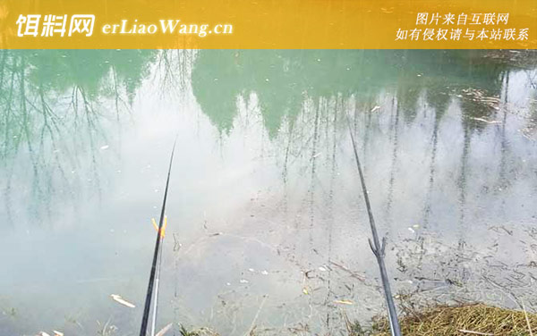 钓鱼空军什么意思-主流钓法