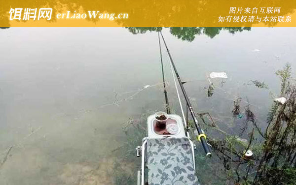 阴天钓鱼:钓法