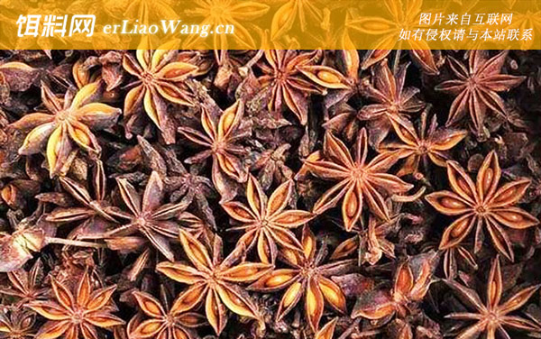 人工麝香:八角酒