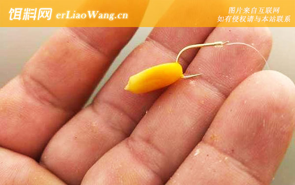 玉米钓鱼:挂钩方法