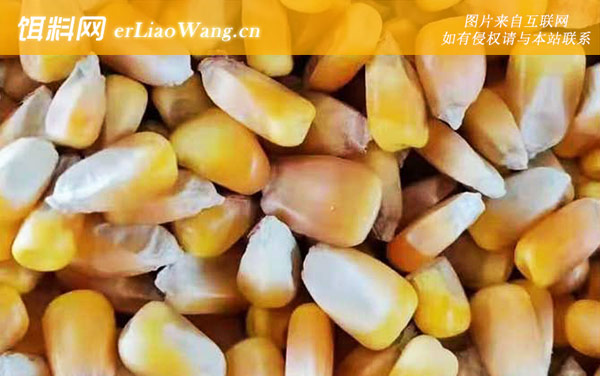 玉米:配方四