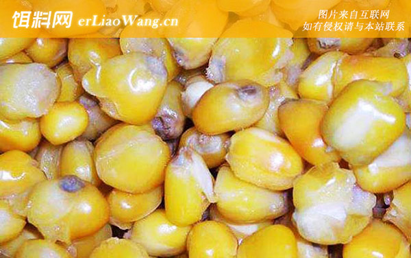 玉米:配方三