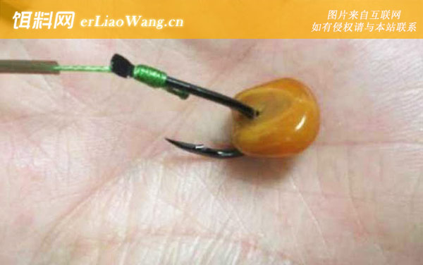 钓鱼玉米怎么挂钩最好-适钓鱼种