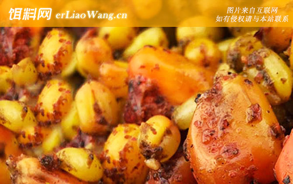 干老玉米打窝效果好吗-自制窝料