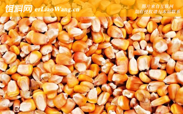 干玉米:配方四