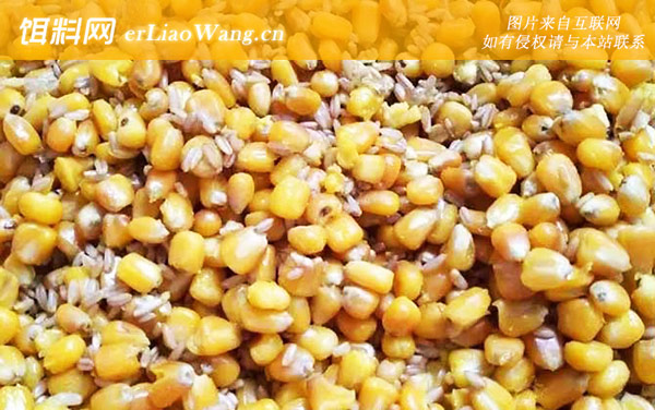 发酵玉米:配方三