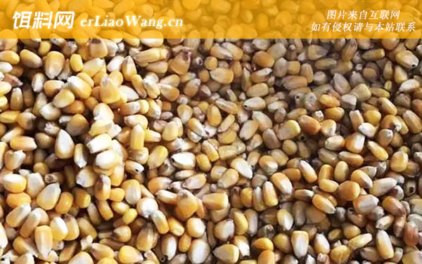 发酵玉米:配方五