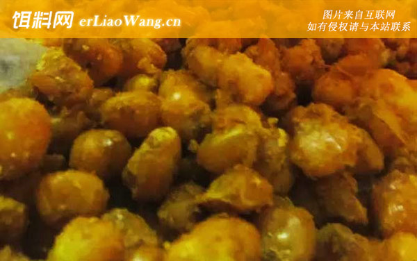 老坛玉米:作钓技巧