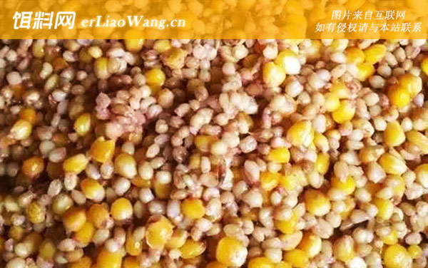 玉米:配方六