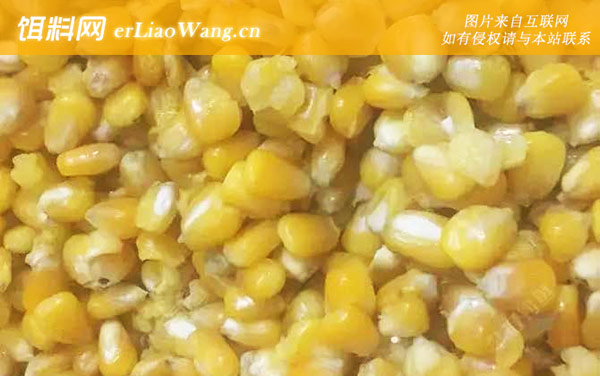 玉米:配方六
