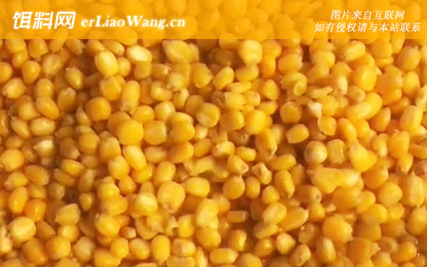 老玉米:经典配方