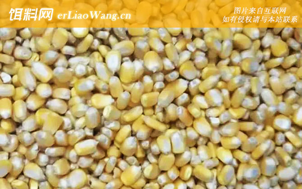 玉米:经典配方