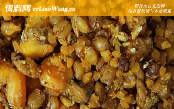 老玉米:适钓鱼种