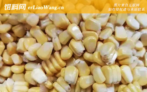 嫩玉米:配方五