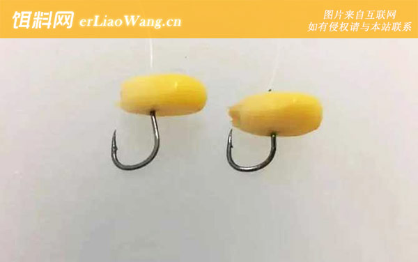 嫩玉米钓鱼生的好还是熟的好-经典配方