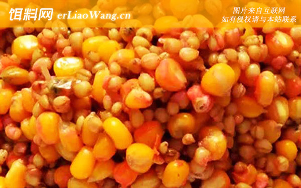 嫩玉米饵料泡制配方大全-配方三