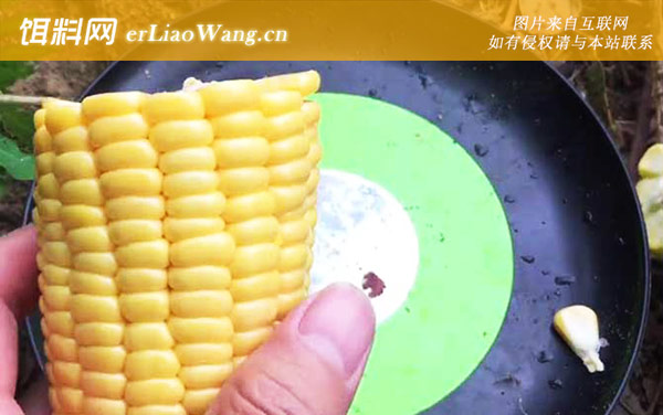 嫩玉米:配方四