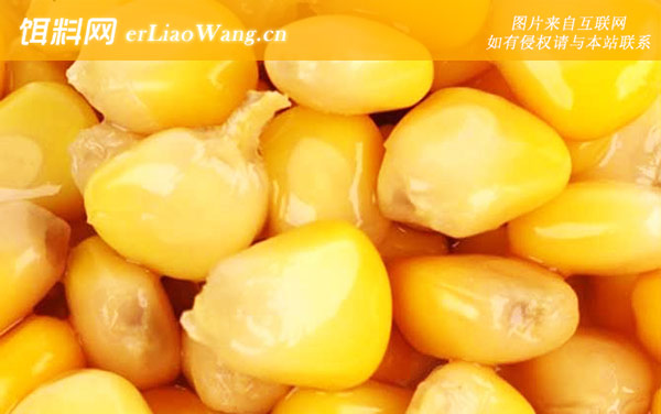 嫩玉米:配方五