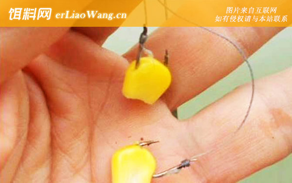 嫩玉米钓鱼:调漂