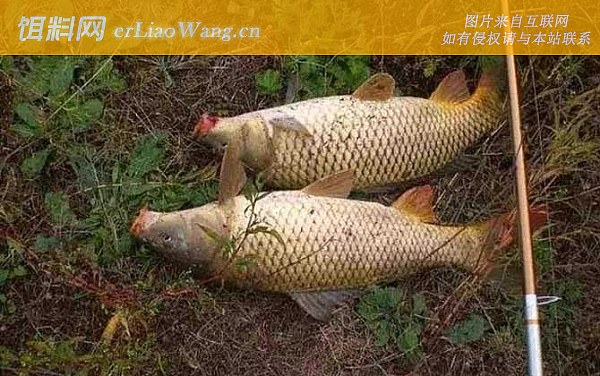 夏季钓鱼:钓点选择