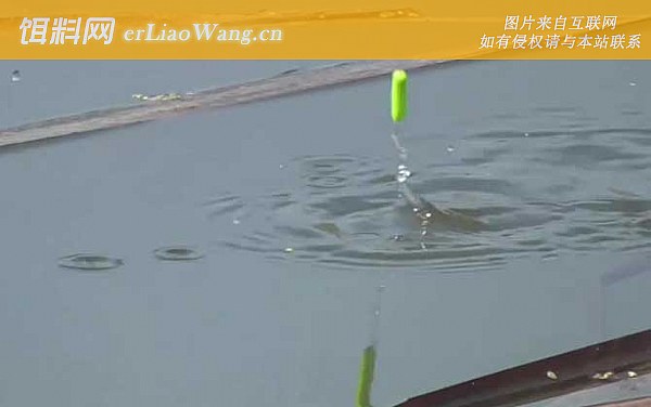 春季钓鱼:打窝时间