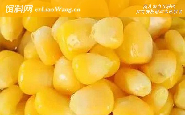 新鲜玉米:经典配方