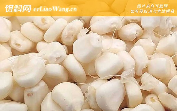 新鲜玉米:配方一