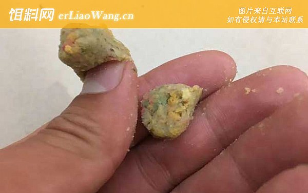 饵料:初秋