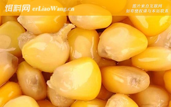 玉米:配方三