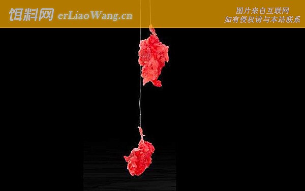 饵料:自然饵料