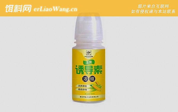 钓鱼小药:正确用法