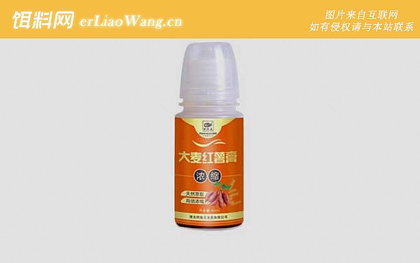钓鱼小药:种类划分