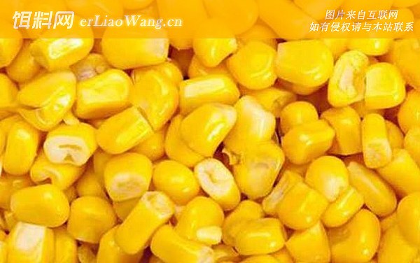 玉米:配方三