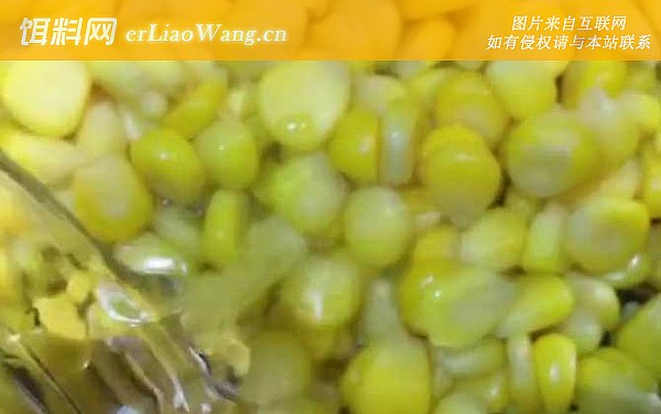 玉米:配方五