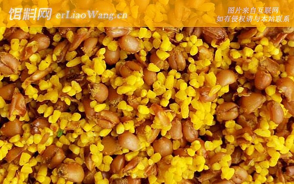 窝料:配方一