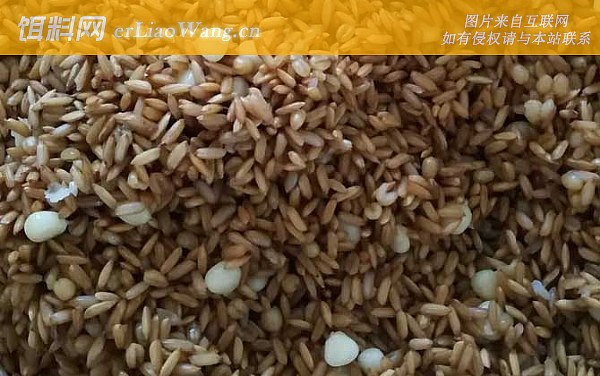 窝料:配方五