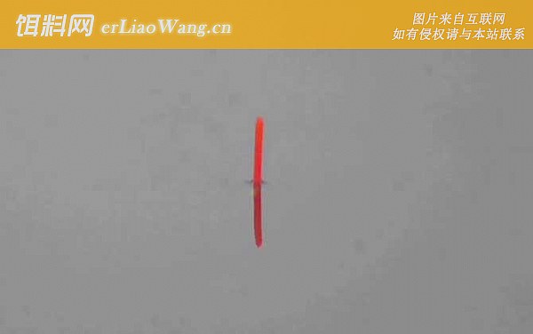 钓鱼:最佳时间