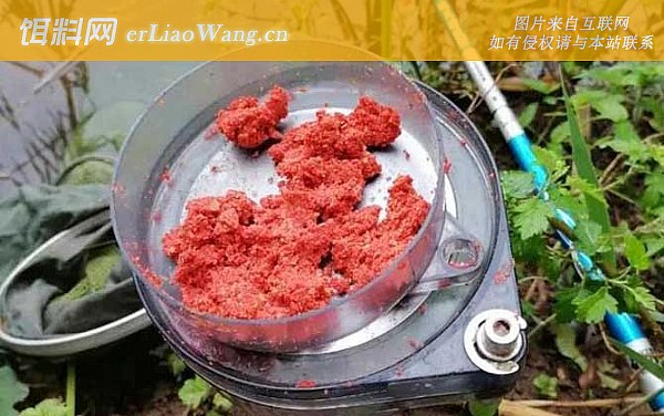 夏季钓鱼:味型选用