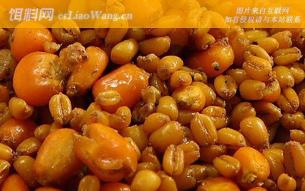 自制窝料:自制窝料