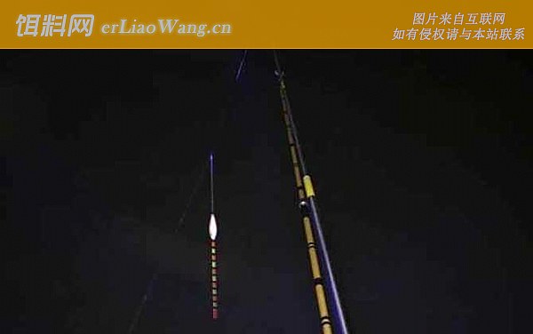 夜钓鲤鱼:商品饵料