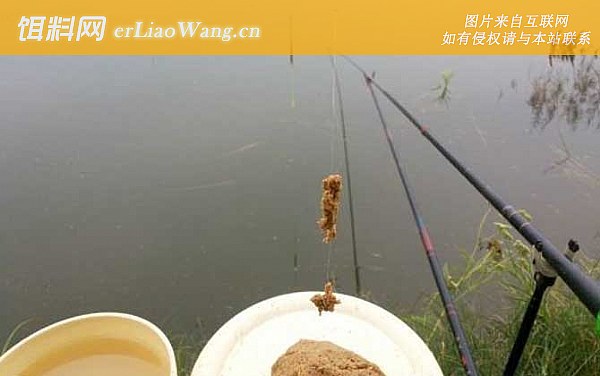 钓鱼:饵料