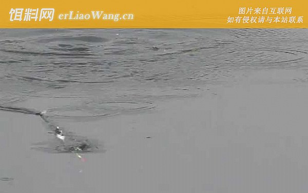 冬季钓鱼:钓点选择