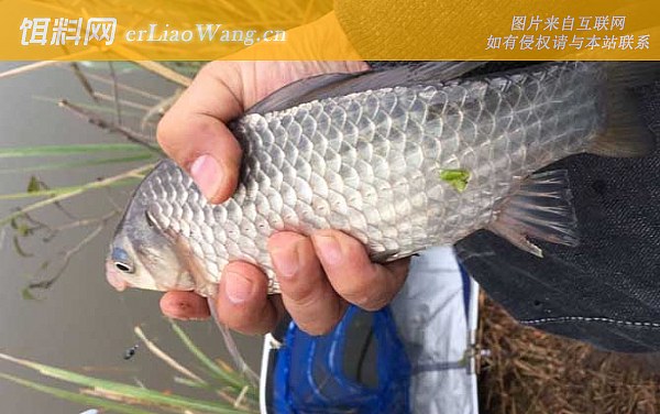 春季钓鱼:钓点选择