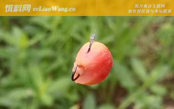 玉米钓鱼:钓点