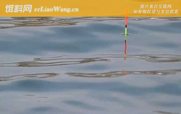 调四钓二:调漂过程