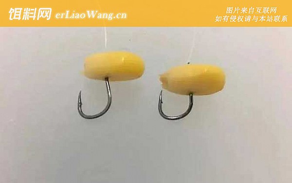 玉米钓鱼:钓法