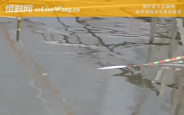 冬季钓鱼:打窝时间